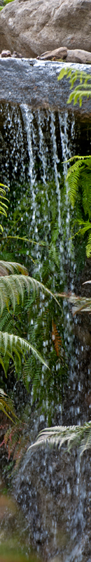 Michelle Garrett Photographer - Sidebar Image - New Images Chelsea Best in Show Australian